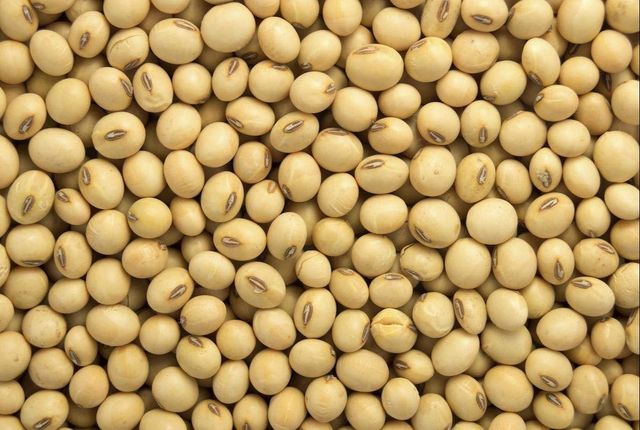 Peanuts & Oilseeds - Image 3