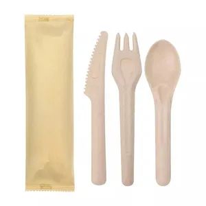 Sugarcane Pulp Spoons Disposable Biodegradable Paper Spoons Cutlery - Image 5