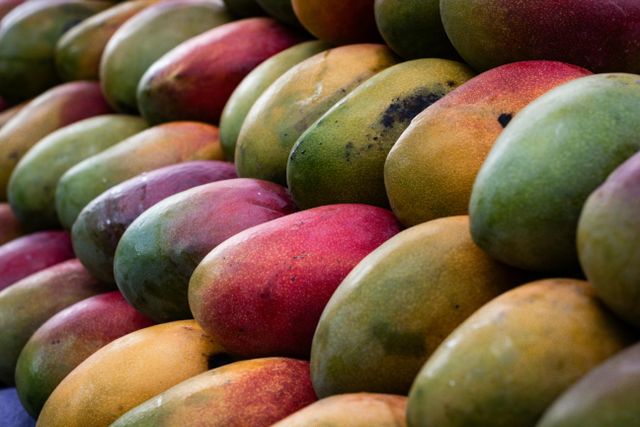 Fresh mangoes Origin Brazil Pulp Color Yellow-orange Texture Firm And Fiberless Fruit Size Medium To Large Color Dark Green With Red Blush, Vibrant Yellow - Image 3
