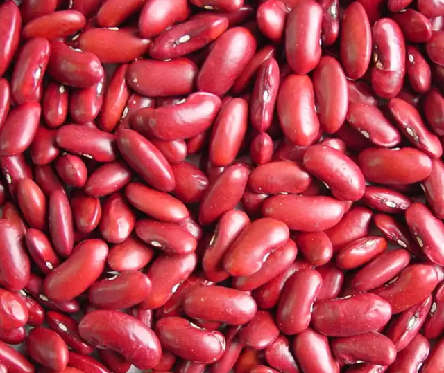 Organic Red/Light Speckled Kidney Beans Purity ≥ 98% Texture Firm Admixture ≤ 1% Moisture Content ≤ 14% Shelf Life 12–18 - Image 4