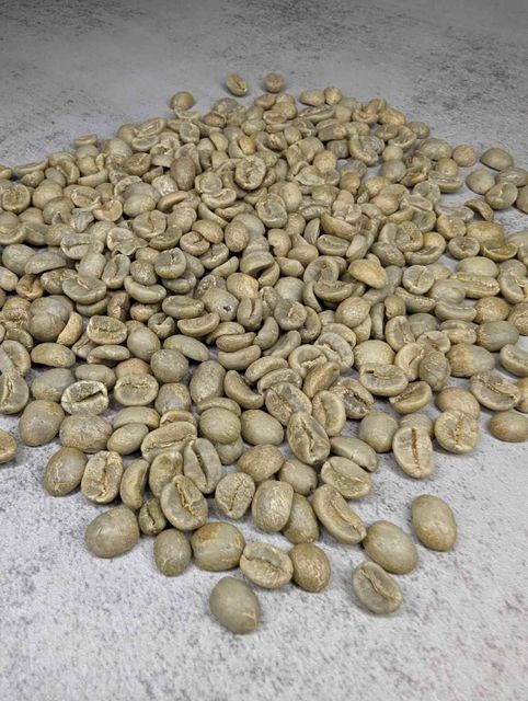 Freshly Selected Green Coffee Arabica Offering Smooth Flavor And Versatile Roasting Options - Image 3