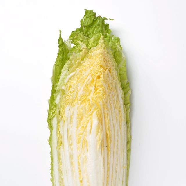 Wholesale Fresh Cabbage For Making Kimchi - Image 4