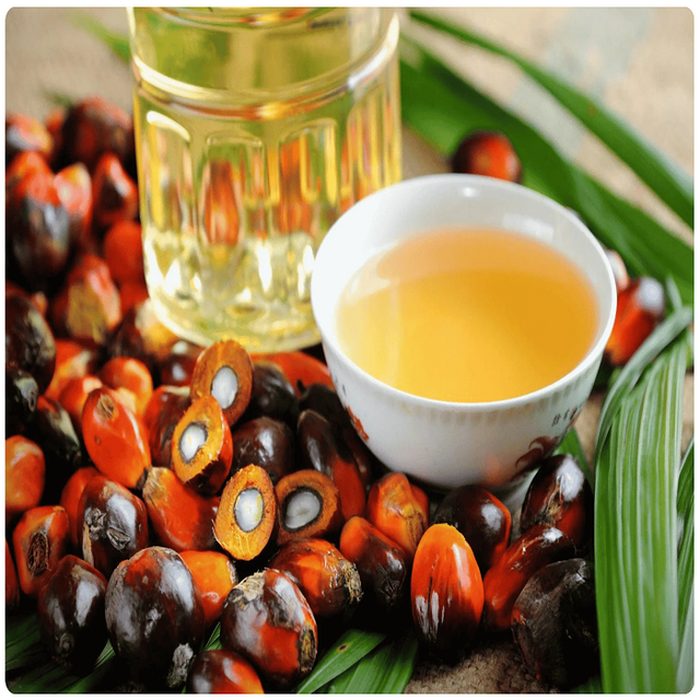 Wholesale Supply Factory Price Refined Palm Oil Daily Food Cooking Palm Oil - Image 3