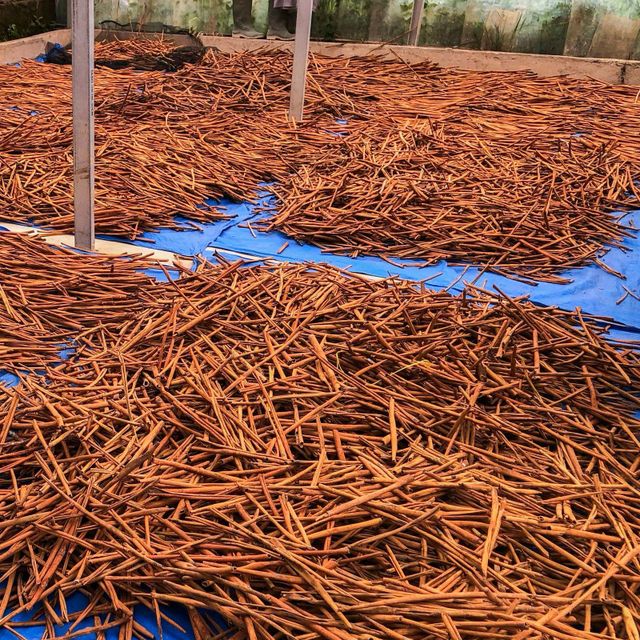 Cassia Stick/Cassia Quills Size 7 – 8 cm Packaging Details 10 kg carton box Variety Cassia Cinnamon (Cinnamomum - Image 4