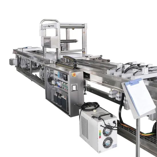 Continuous Servo Food Thermoforming Vacuum Packing Machine for Meat Deli Ham Bacon - Image 4