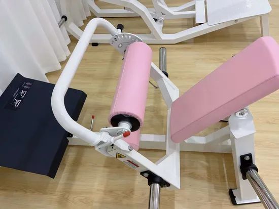 Dezhou Factory Free Weight Gym Machine Commercial Strength Hip Thrust Fitness Equipment - Image 1