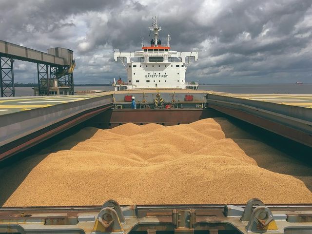 SOYBEAN - Image 2