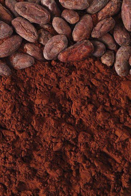 cocoa beans - Image 2