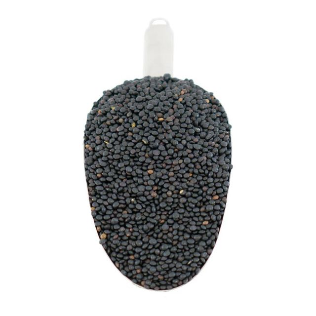 Bulk supply Black lentils Premium Black lentils full of protein iron and natural taste for healthy meals - Image 2