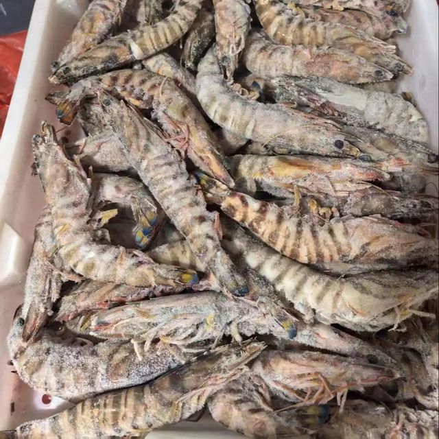 Frozen Prawns Naturally Processed Ocean Harvest Seafood With High Protein Content For International Seafood Importers - Image 5