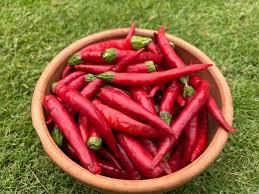 Fresh Red Chilli Pepper – Premium Quality Export-Grade Spice Vegetable - Image 1