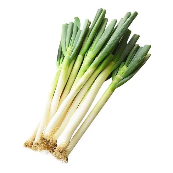 High Quality China Fresh Green Onion/Scallion Grade a+ Trademark aowoshi HS Code 0703902000 Shef Time 5 Months Model NO. - Image 3