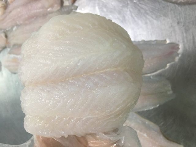 High Quality Frozen Swai Fish Fillet/ Pangasius Fillet/Sutchi Catfish Fillet - Image 3