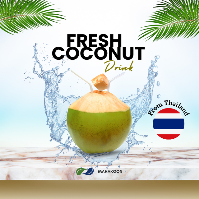 Premium Fresh Coconut From Thailand Sweet Organic Fresh Coconut Premium Quality Best Seller with GI quality - Image 3