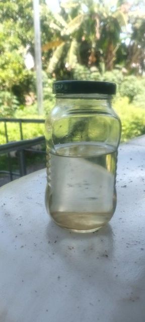 Virgin coconut oil Organic Yes Form Flakes Origin Philippines Degree of Processing Fresh - Image 1