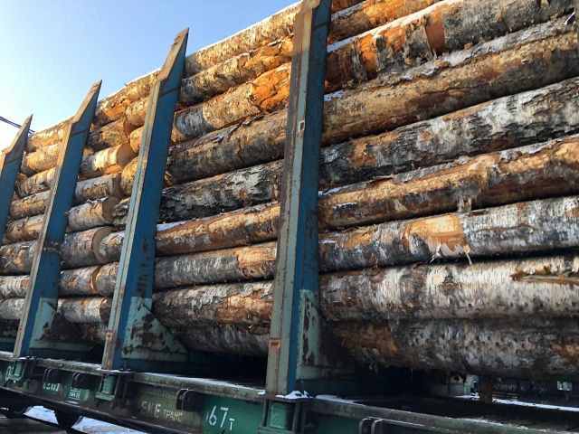 Wood raw materials Material Wood Length 2,400–3,000 Mm Moisture Content 18–22% Form Sawn Timber, Edged Delivery Time 30–45 Days - Image 3