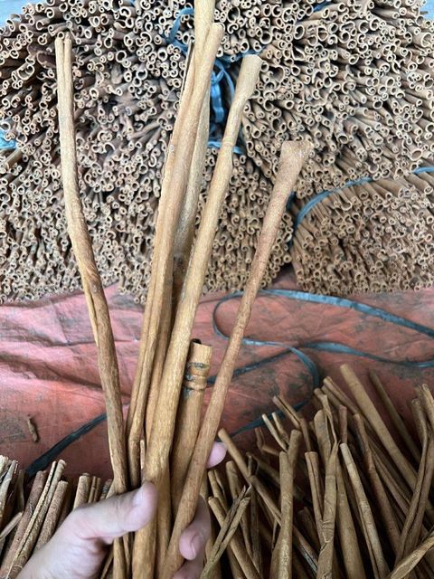 Spices black pepper Dried Bulk Black Pepper Premium Quality Made in Viet Nam Factory Price - Image 7