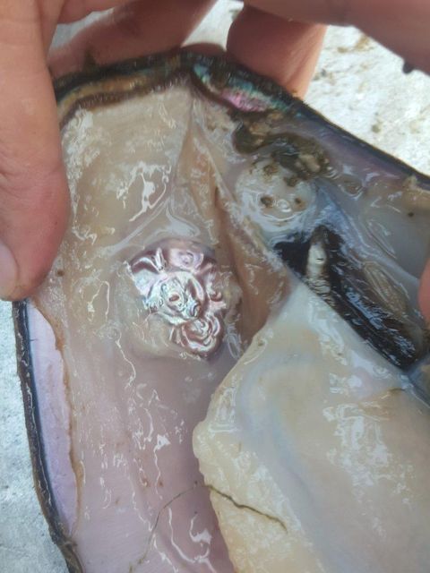 Company – photo 25 of 129, supplier detail gallery