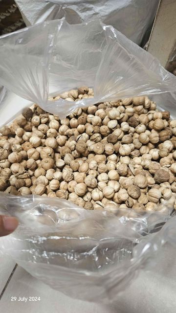 Premium white and brown Cardamom 12% water content size 8-9 mm - Image 1