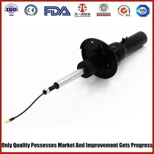 Air Suspension for Porsche 981 Rear - Image 2