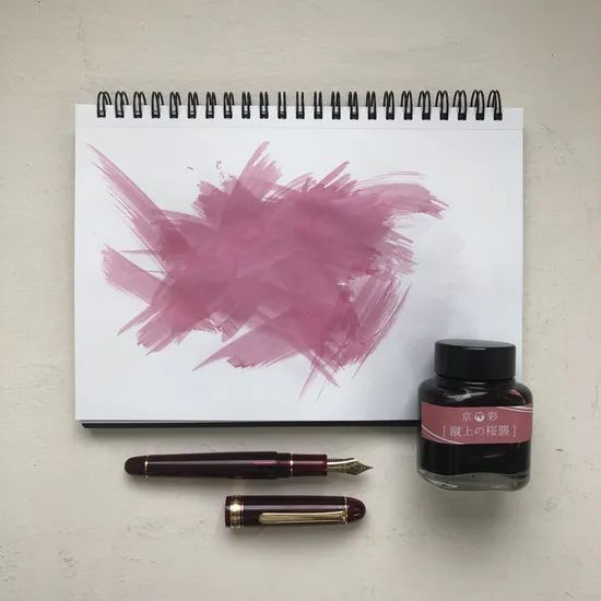 1000ml Dye Fountain Pen Ink for Pen Manufacurer for Calligraphy - Image 5