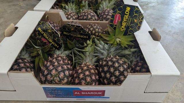 Pineapple – product photo 1, product detail gallery