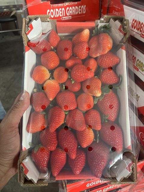 FRESH STRABERRIES - Image 3