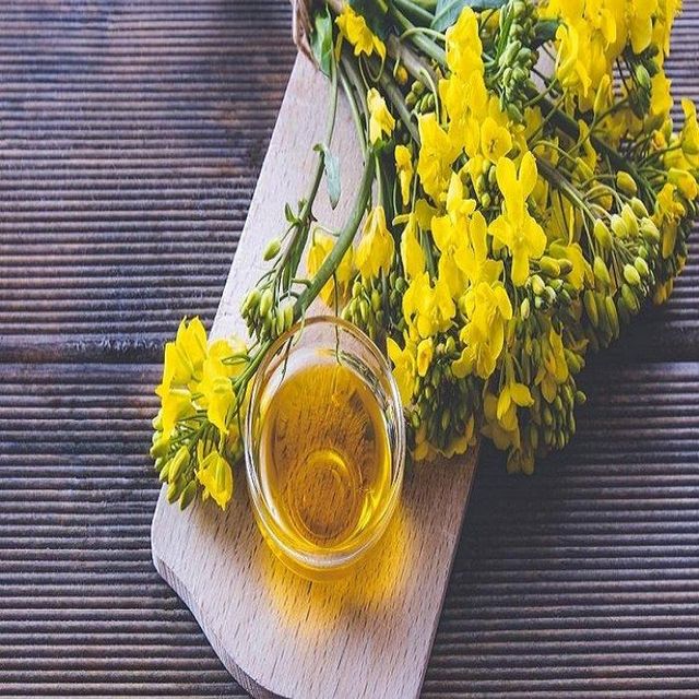 High Quality 100% Purity Refined Canola Oil Excellent Grade Cooking Use 2 Year Shelf Life Normal Temperature Storage - Image 3