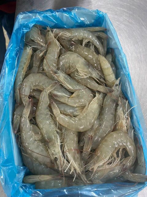Fresh Frozen Whole Vannamei Shrimp Export Quality Frozen Seafood With Excellent Texture Rich Flavor And Premium Freshnes - Image 3