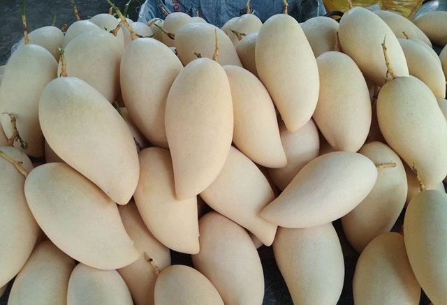 Golden Mango Natural Sweet - Image 2