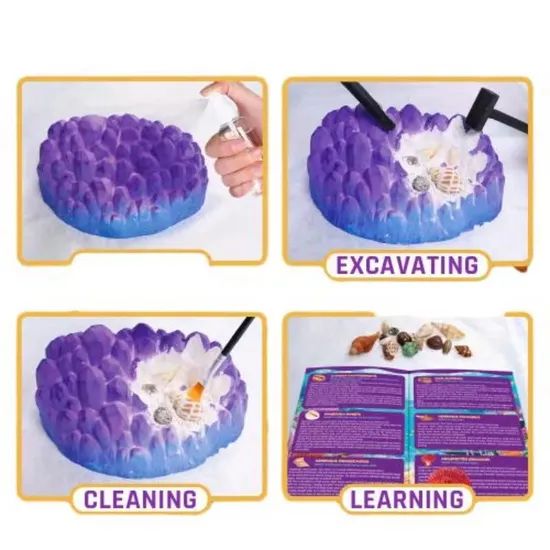 Wholesale Ocean Fossil Kit Science Educational Fossil Collection Gift Dig Kits Toys - Image 3