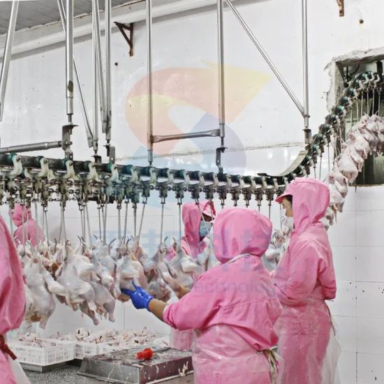 100bph to 13000bph Abattoir Meat Processing Machine Slaughtering Chicken Quail Rabbit Animal Poultry Killing Slaughter Chicken Plucker Machine - Image 1