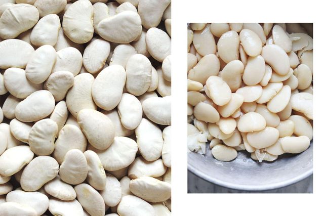 Butter Beans/ White Kidney Beans - Image 2