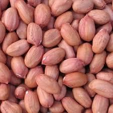 Groundnuts (Edible Peanut Kernels for Food Processing & Export) - Image 3