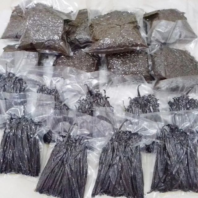 Vanilla Beans for Sale | Extract Grade B Vanilla Beans | Buy the best grade vanilla beans wholesale – product photo 4, product detail gallery
