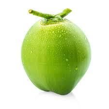 Green Young Coconut - Image 2