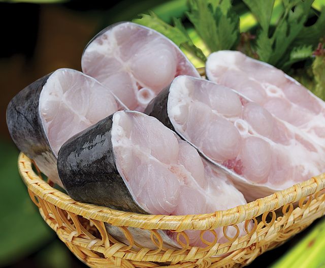 VIETNAM High Quality Frozen BASA fish (PANGASIUS) Frozen Pangasius Fillet/Pangasius fish - Image 5