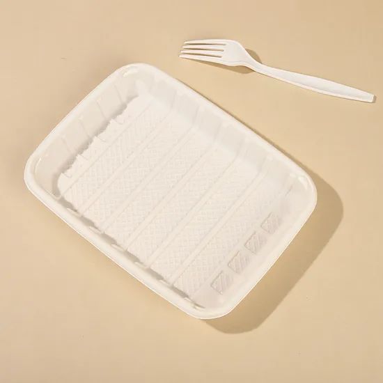 100% Compostable Disposable Cornstarch Tray Biodegradable Compostable Food Tray - Image 4
