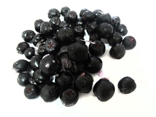 Iqf Aronia - Image 1