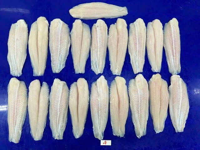 Frozen Pangasius Fillet - Image 3