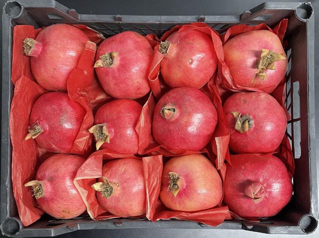 Pomegranates - Image 3