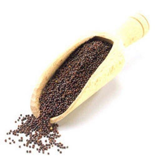 Mustard Seeds Purity Min. 99% Moisture Max. 8% Broken Damaged Max. 1% Packaging Size 25 kg pp bag Admixture Foreign Matter Max. 1% - Image 4