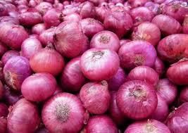 Red Yellow Onion Wholesale Yellow Onions Cebolla Oignon Color Red, Yellow Shape Round, Oval Shelf Life 2 years Form Fres - Image 2