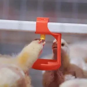 Livestock Poultry Equipment - Image 3