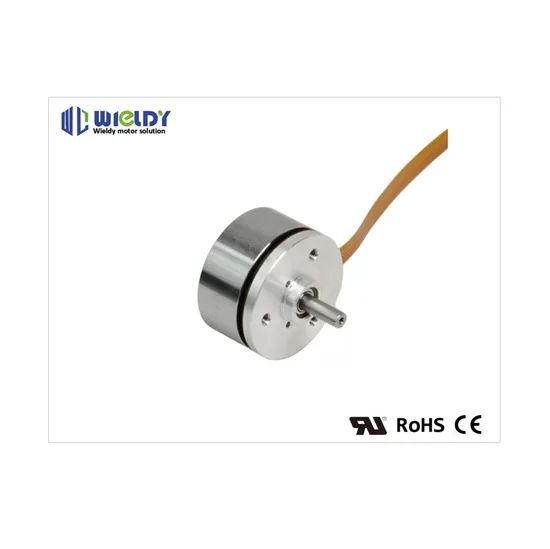 Wld45blw Outer Rotor Brushless DC Motors for Temperature Circulation Pump Medical Apparatus - Image 4