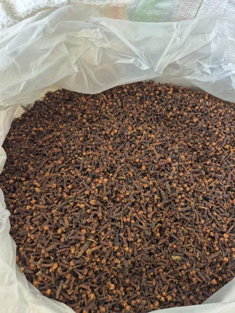 Premium Whole Cloves Grade A Wholesale Bulk Supply Export Quality Cloves Worldwide - Image 3