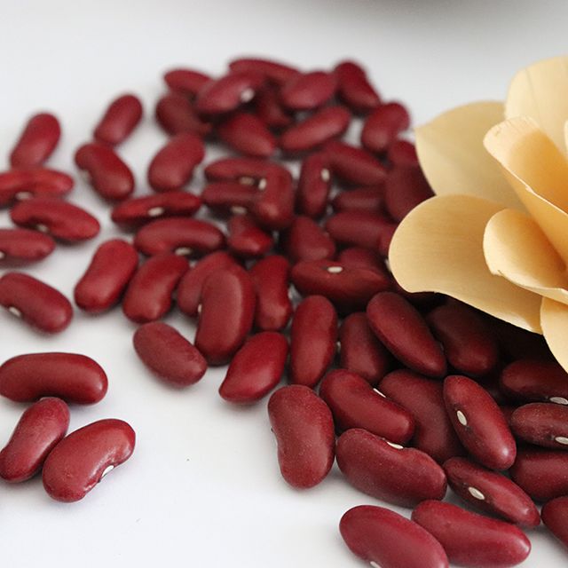 Red Beans 180-220 Big Size Kidney Beans Dark Red Kidney Beans Market Price - Image 3