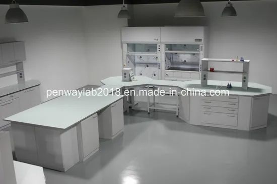 Pharmaceutical Lab Bench Lab Furniture (GMP STANDARD) Origin China Condition New Color Optional Customized Customized Specification - Image 4