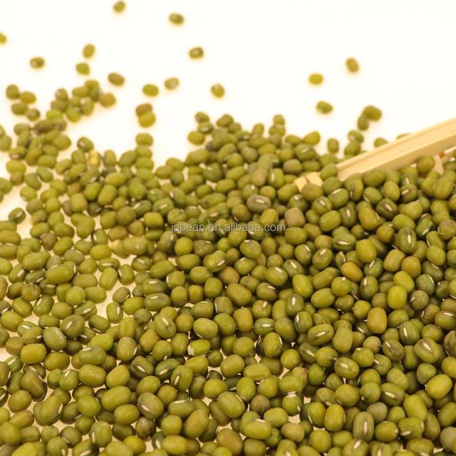 Mung Bean Non GMO Chinese Good Quality Sprout Mung Bean Seed Moong Dal - Image 3