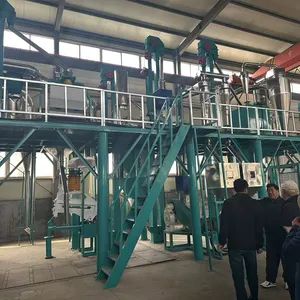 Customizable Large Scale Maize Milling Machine for High Capacity Grain Processing - Image 3